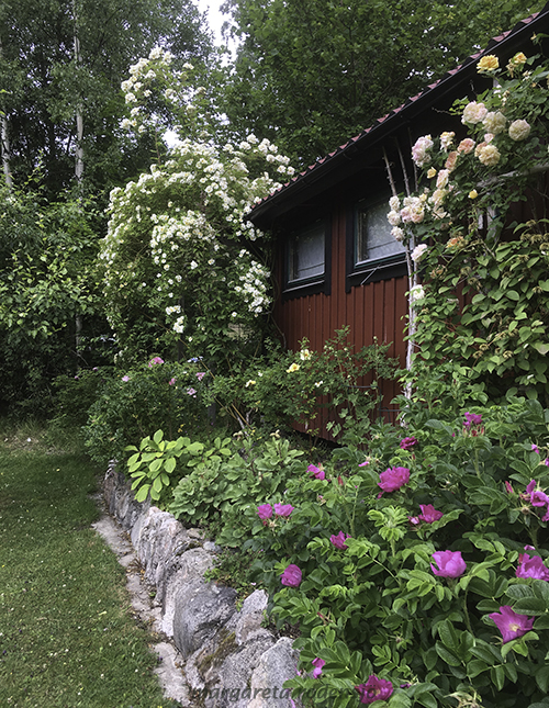 rosvägg