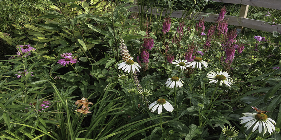 blommor